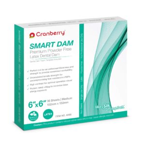 SMART DAM