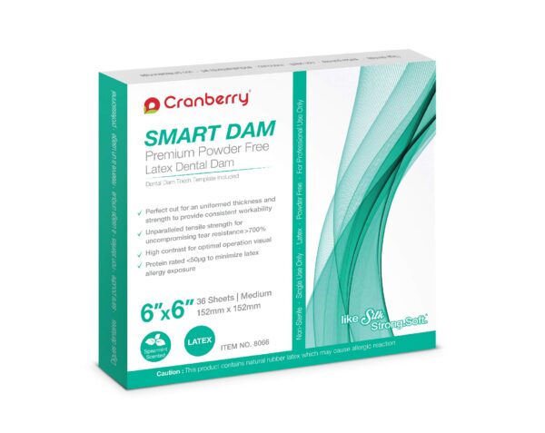 SMART DAM